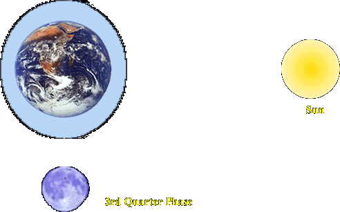 Spring Tides are Formed at 3rd Quarter Phase of the Moon