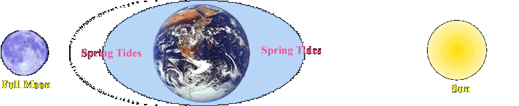 spring.gif (32171 bytes)